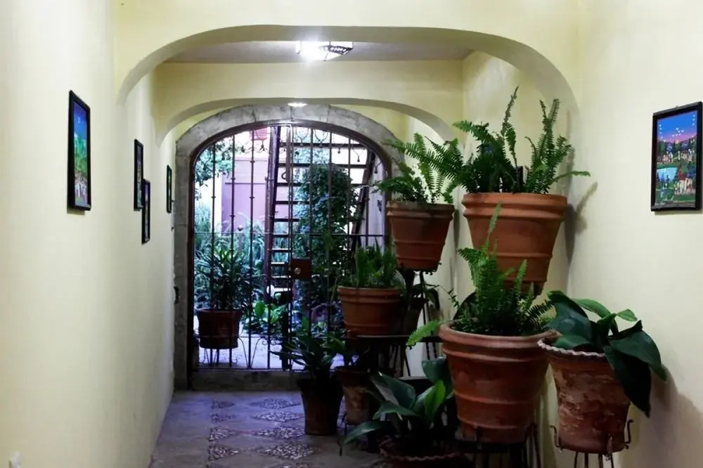 La Casa de Laura "Departamentos Cri Cri"