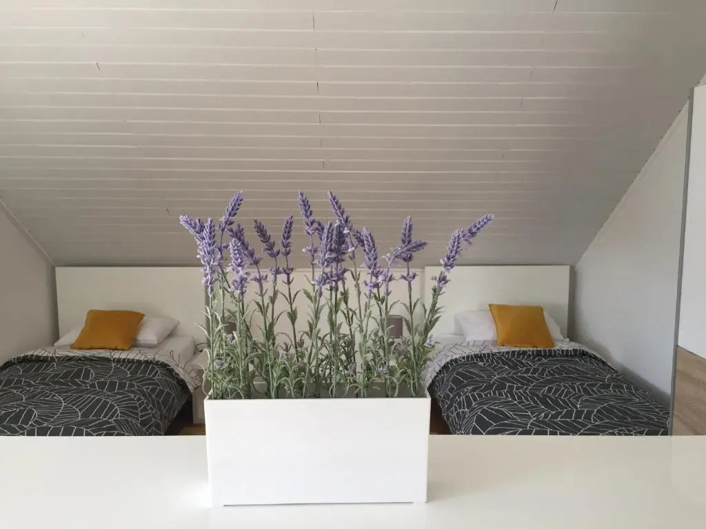 Apartman studio SONAS 3