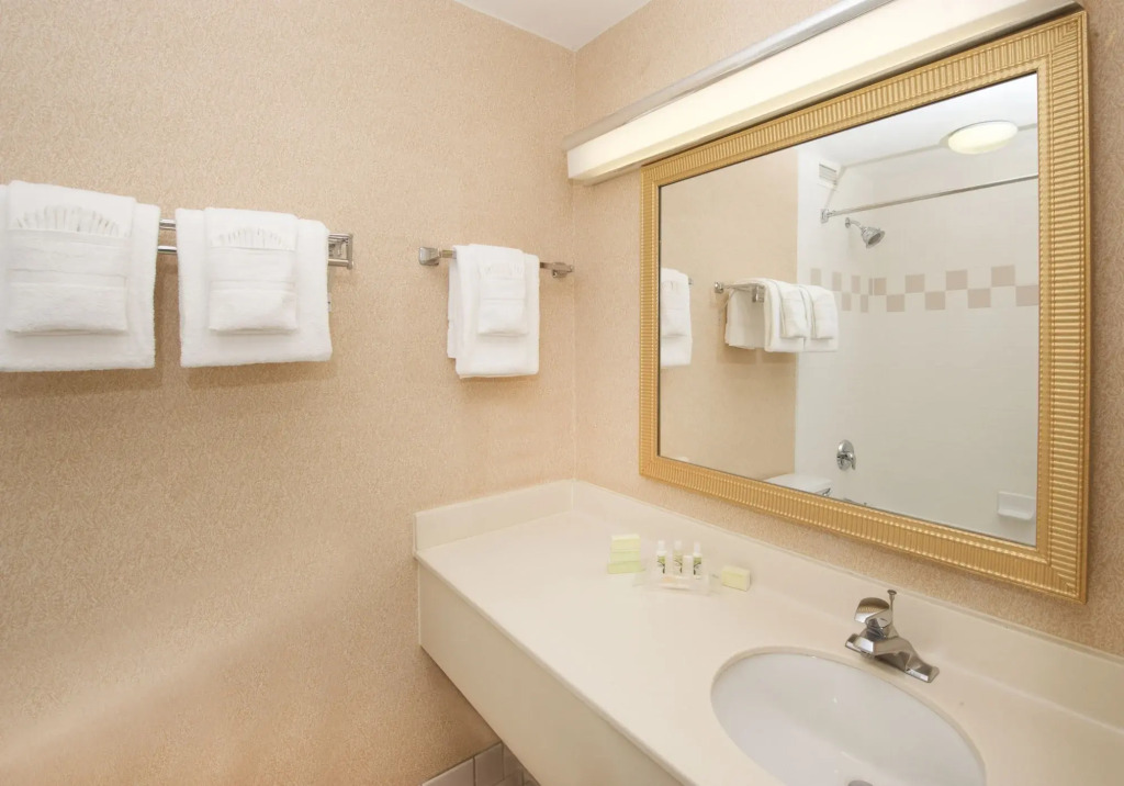 Holiday Inn & Suites Chicago-Downtown by IHG
