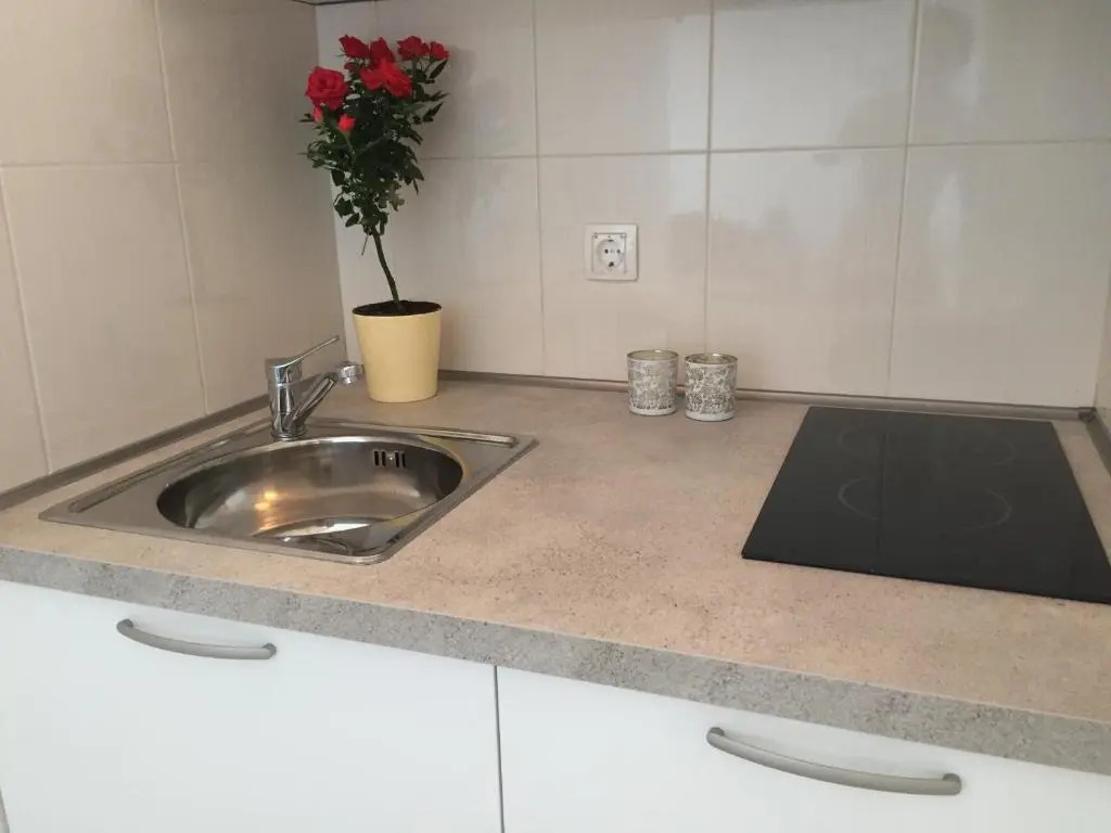 Apartments Leptiric