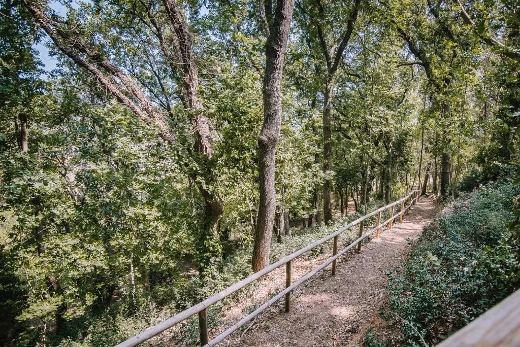 Poggio Imperiale Marche - Apartments & Glamping & Bubble Rooms