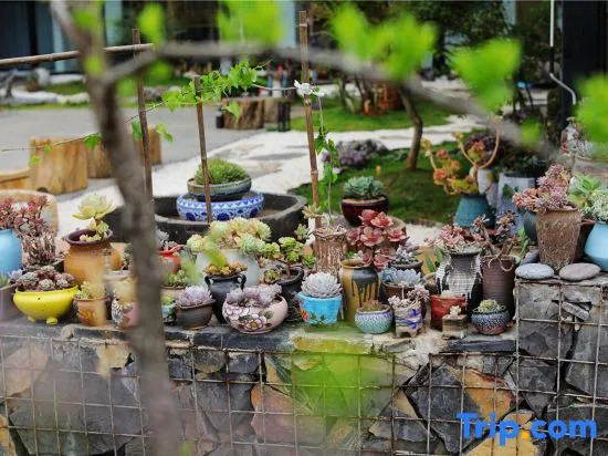Yewang Su Lake View Light Luxury Hostel