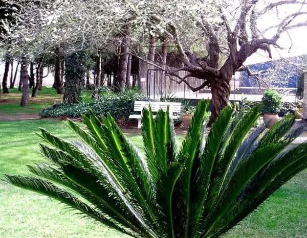 Hotel El Molí