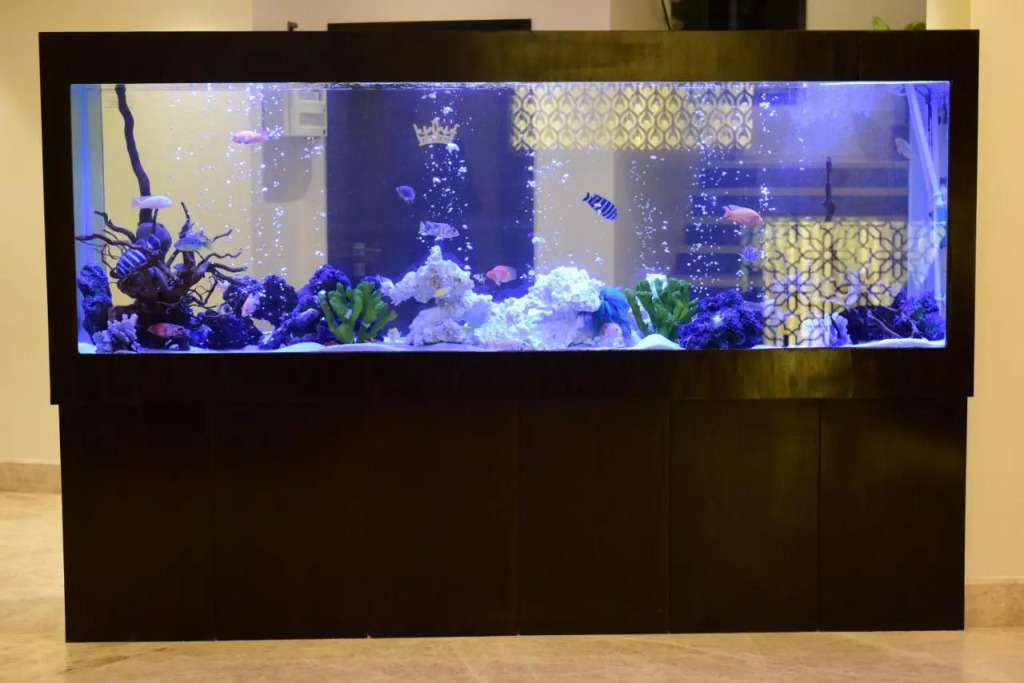 The Flora Grand, Vasco, Goa
