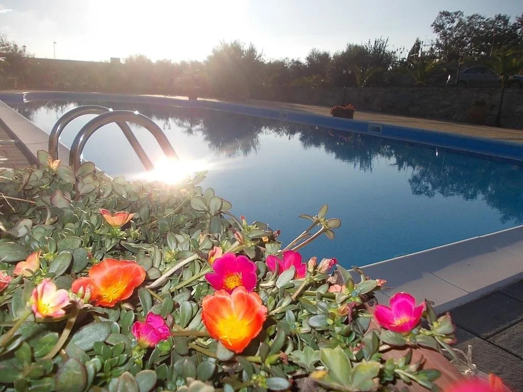 Uliveto Garden