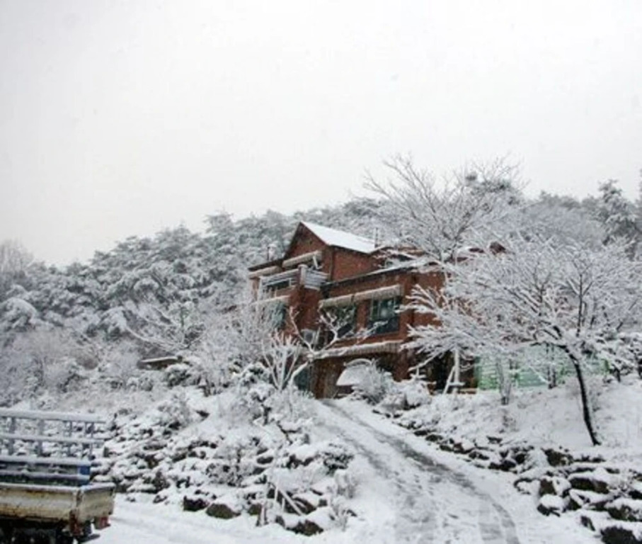 Jecheon Sineka Green Plant Pension
