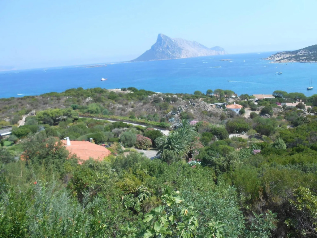 Sea view house in San Teodoro, seventy meters from the beach of Cala Girgolu-Casa della Tartaruga