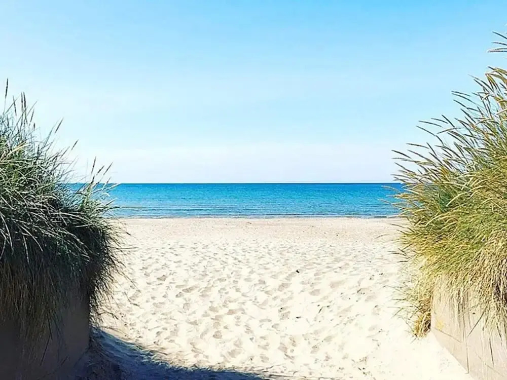 4 Star Holiday Home in Mellbystrand