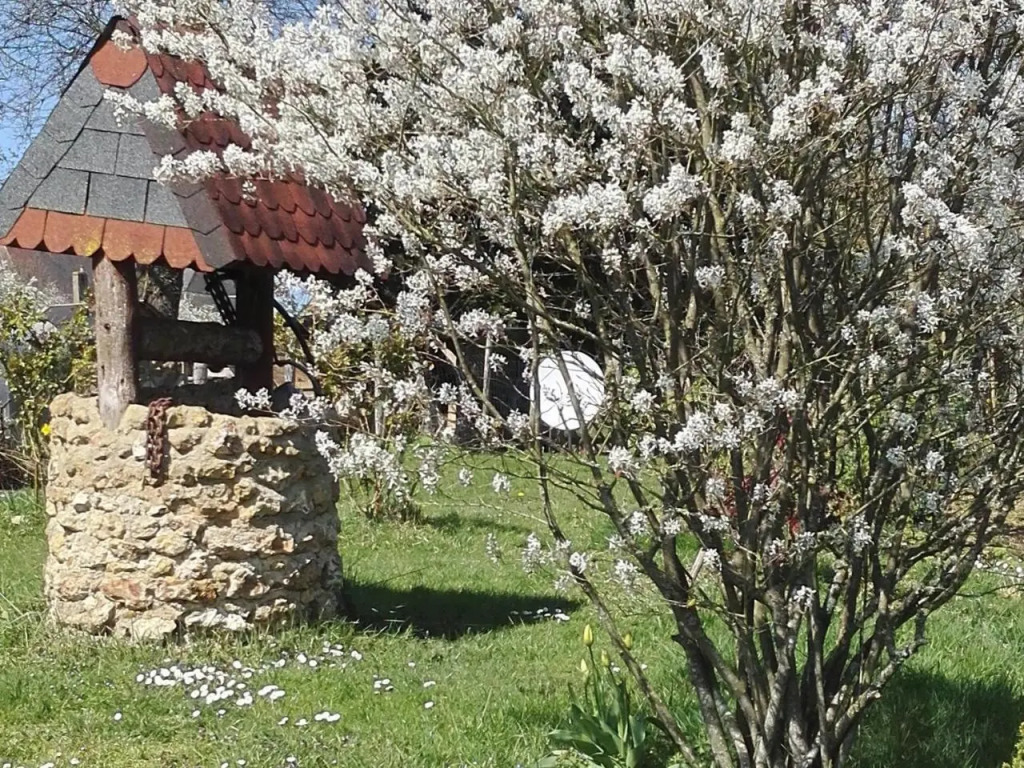 Maison en bois avec jardin, idéal randonnée, fibre haut débit, équipements bébé près du Mans et Tours - FR-1-410-195