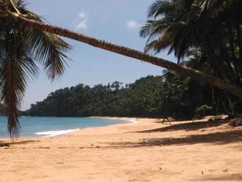 Jalé Ecolodge