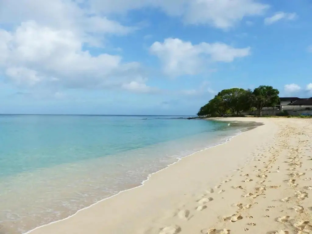 Zenbreak Freshwater Beachfront #6
