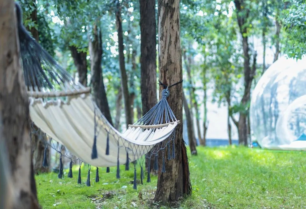 Dali Shixiaju · Laojie Kedi Homestay (Dali Ancient City)