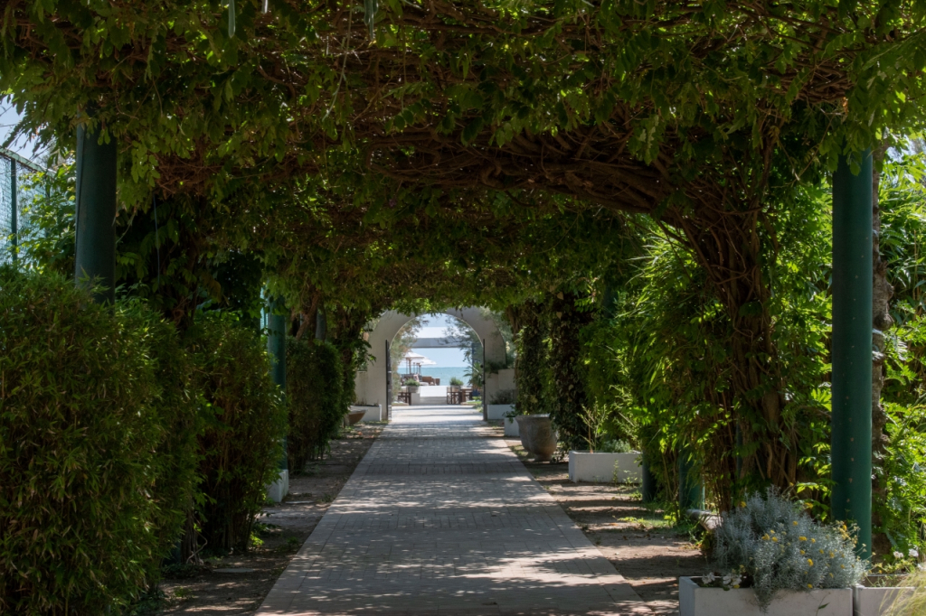 Villa Regina - MarePineta Resort