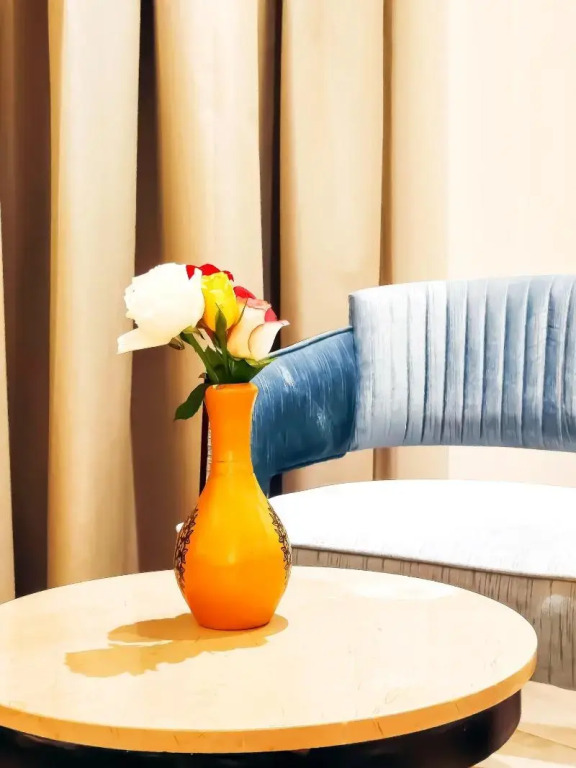 OPO Premier Royal,Delhi Airport- FREE Airport Pick Up Or Drop