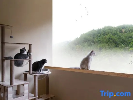 One see one mountain Shangpi Homestay (Xijiang Qianhu Miao Village Observation Platform Store)