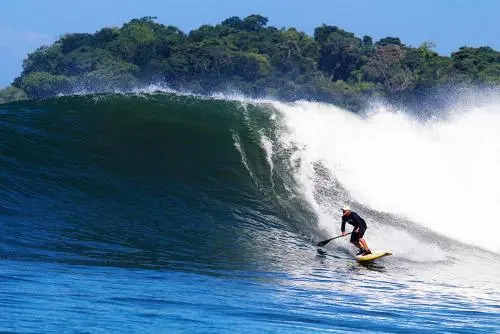On The Reef