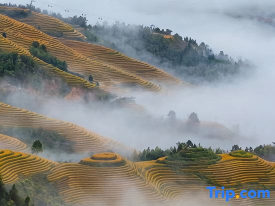 Pusu Yiyaxuan Homestay (Longji Rice Terraces Golden Buddha Peak Observation Deck Branch)