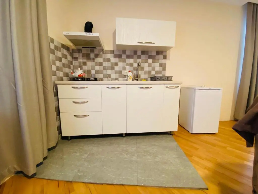 ბორჯომი საოჯახო სასტუმრო "გიომანი" Borjomi Guest House "GioMaNi" დასვენება ბორჯომში "GioMaNi"
