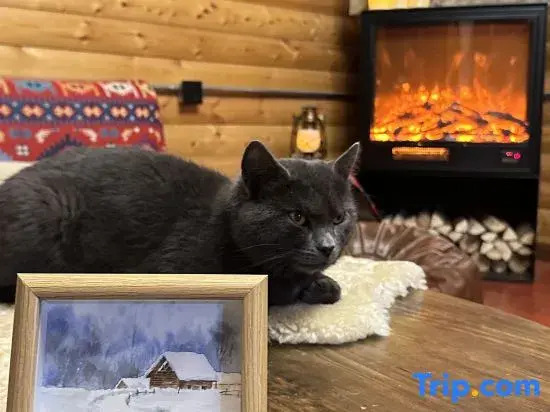 Hewu Nova Cabin (Old Village, Beautiful Peak Station, Hewu Bridge Store)