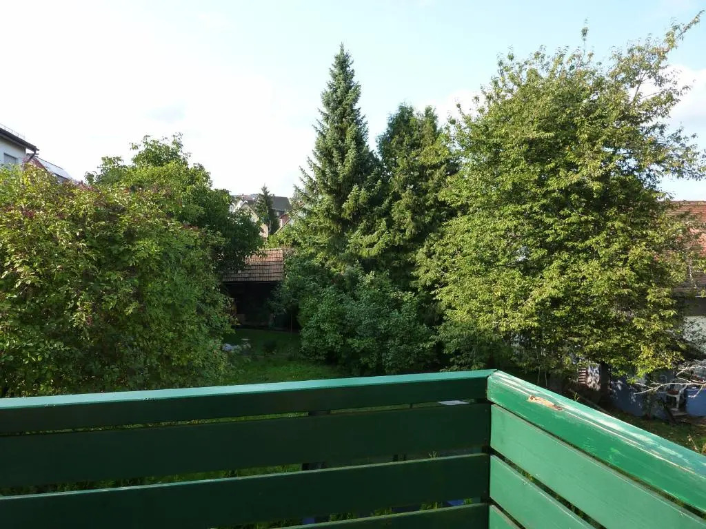 Schwarzwald light