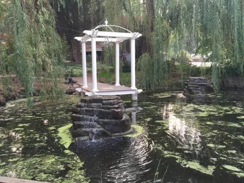 The Willows
