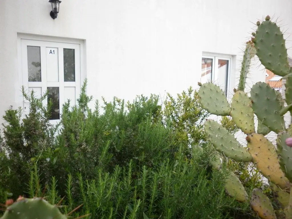 Apartment Hvar Krizna luka