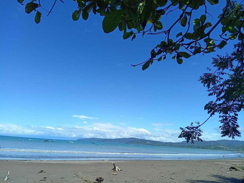 Ceiba Ganadito