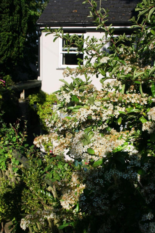 Townhouse Rooms