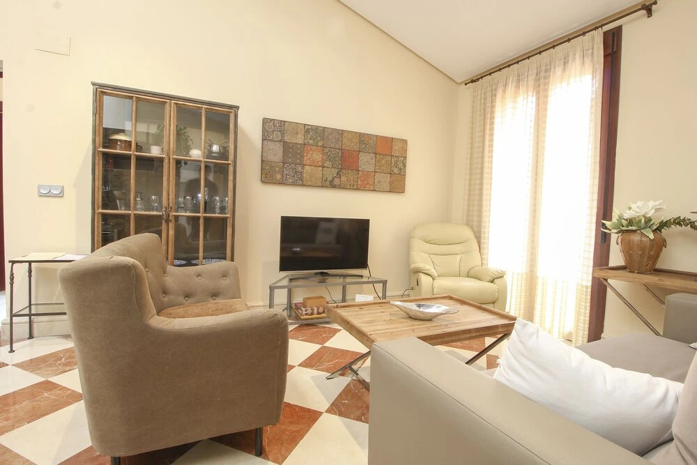 Deluxe apartment plaza de la encarnacion