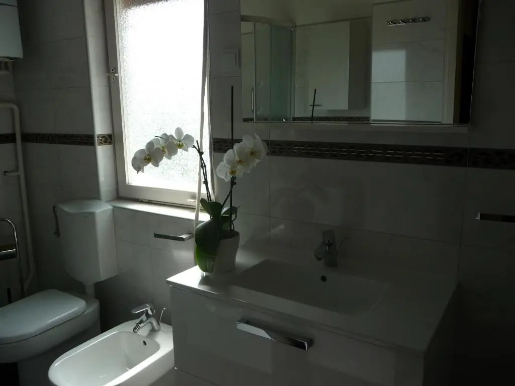 Apartments Noris
