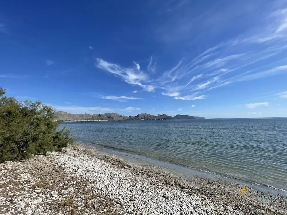 Apartment in Port de Pollenca Near Llenaire Beach