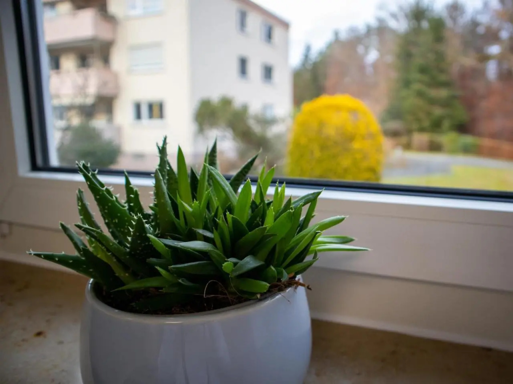 Seewaldblick - Ferienwohnung Am Bodensee