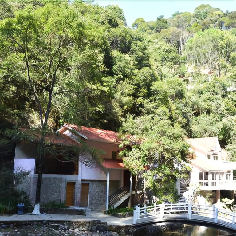 New Taoyuan Mountain Village