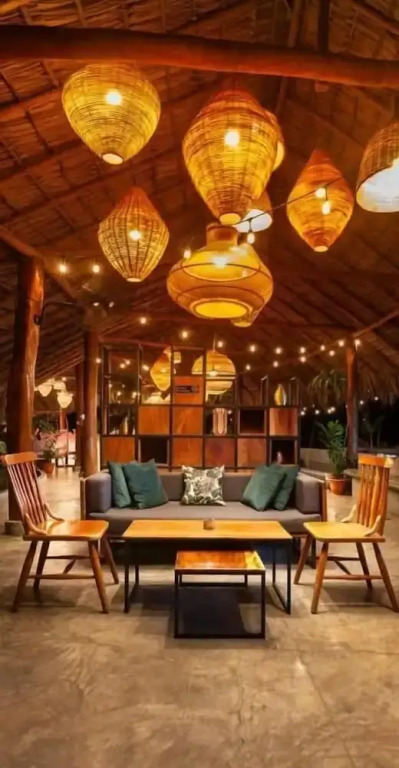 the SPACE Jungle Oasis