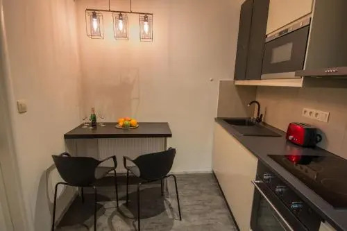 Ruterra Apt with Sauna and Billiards