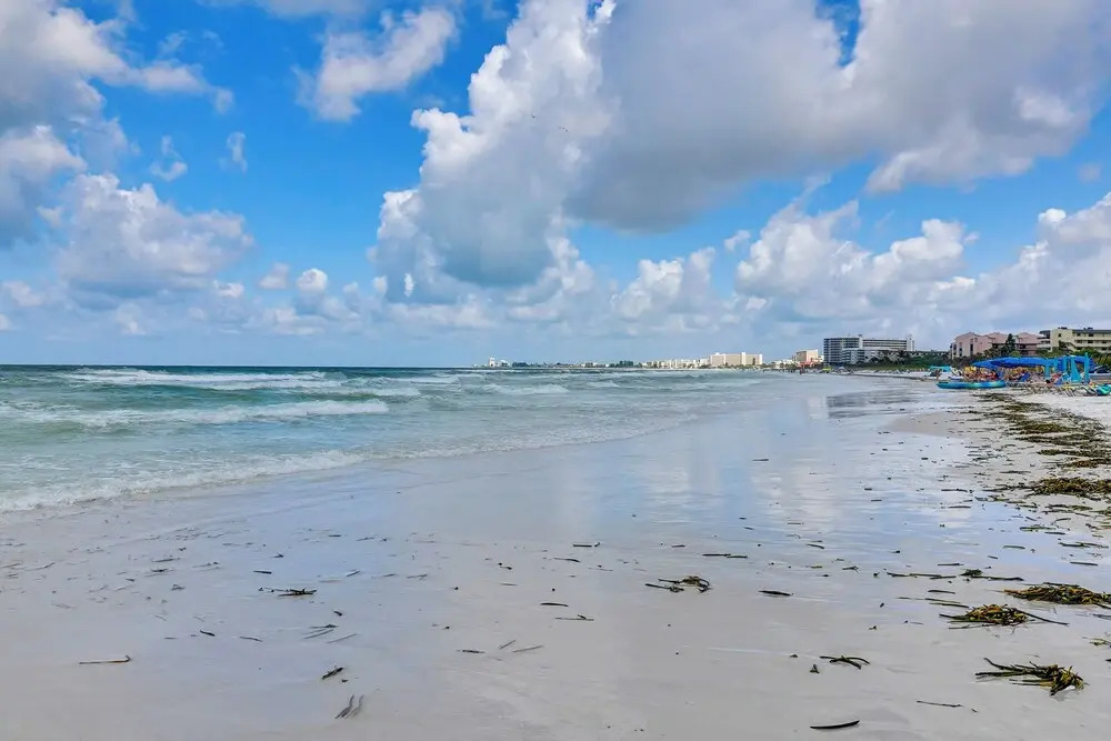 Tropical Sarasota Condo < 1 Mile to Beach!