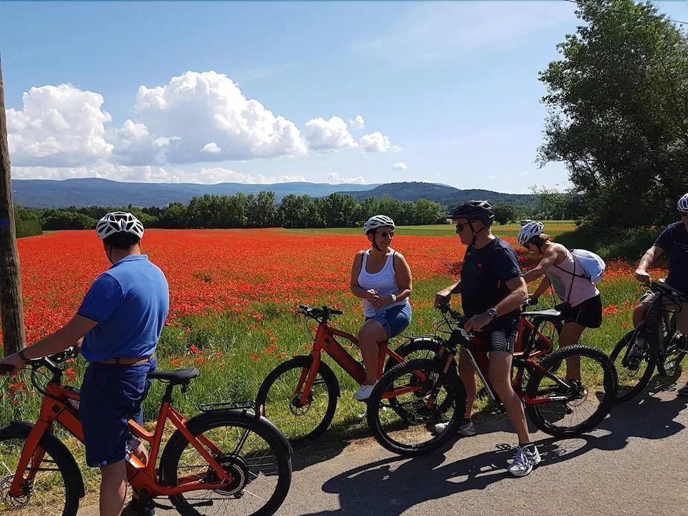 Le mas de Roussillon