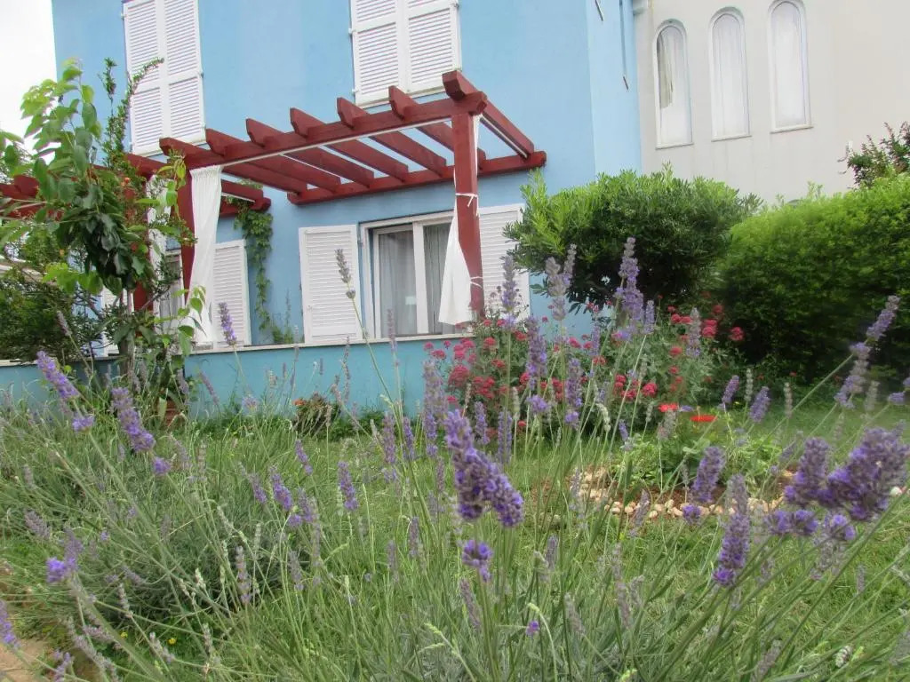 Hotel Manora
