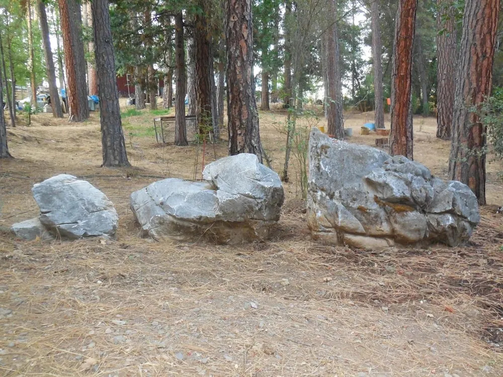 Yosemite Paradise Inn