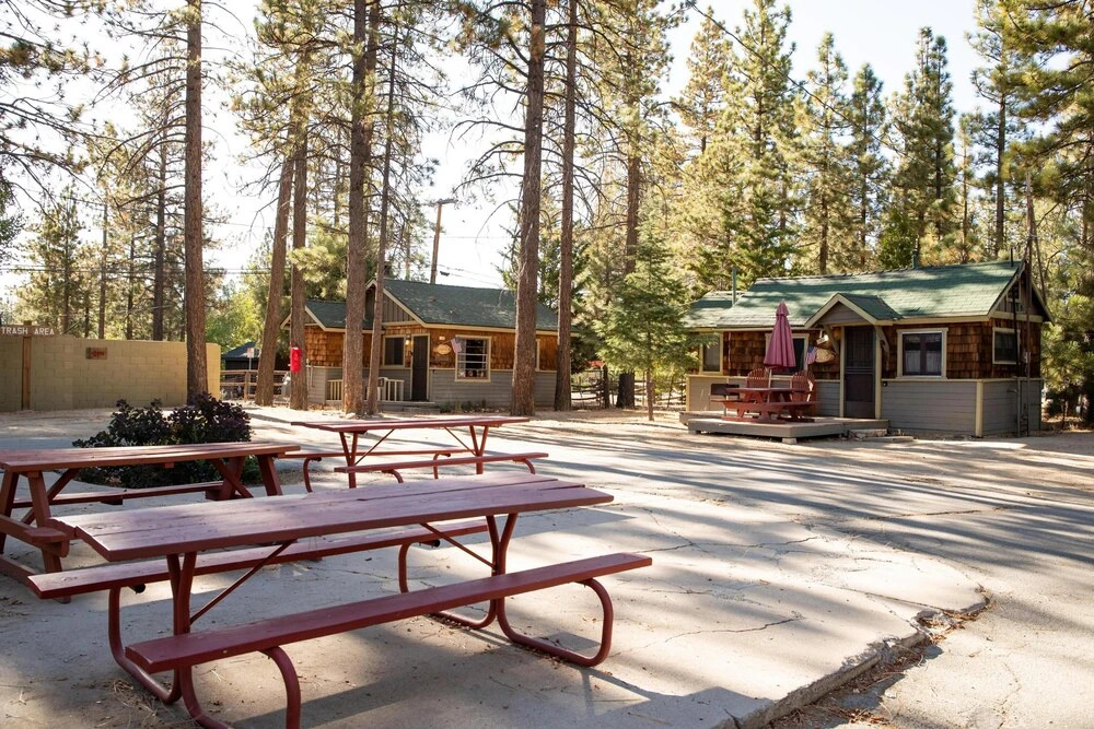 Twin Pines Family Cabin by Big Bear Vacations