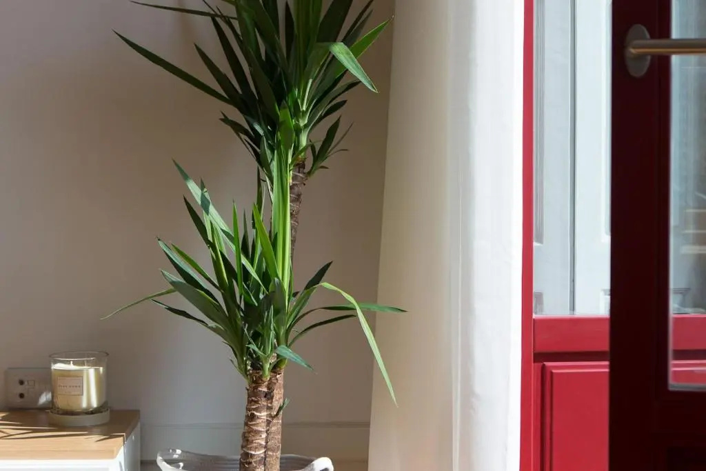 LovelyStay - Martires Boutique Flat