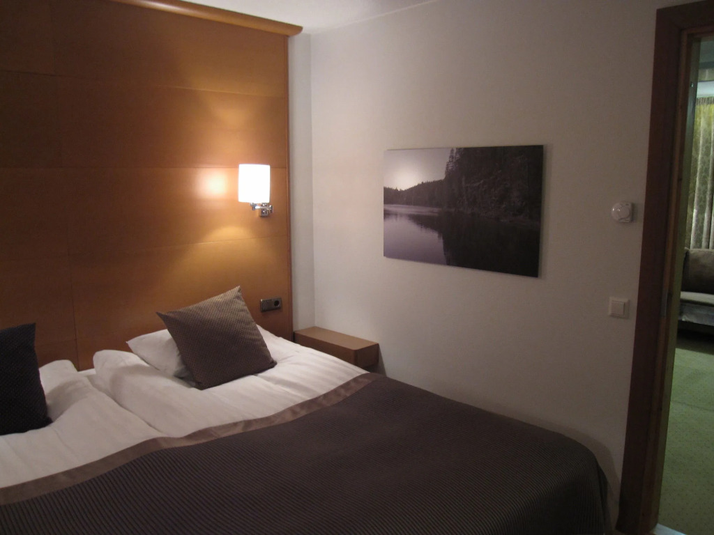 Hotel Aateli Lakeside
