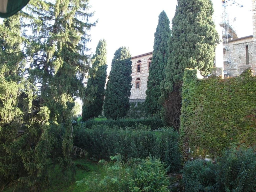 The Tower Of The Old King