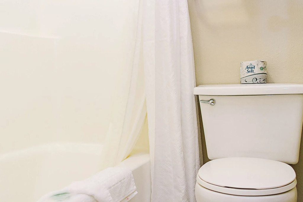 Lavissh Inn and Suites