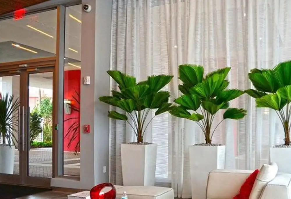 Bwalk Resort Rentals