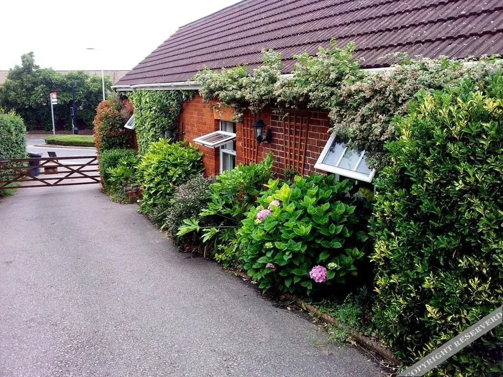 Station Bungalow
