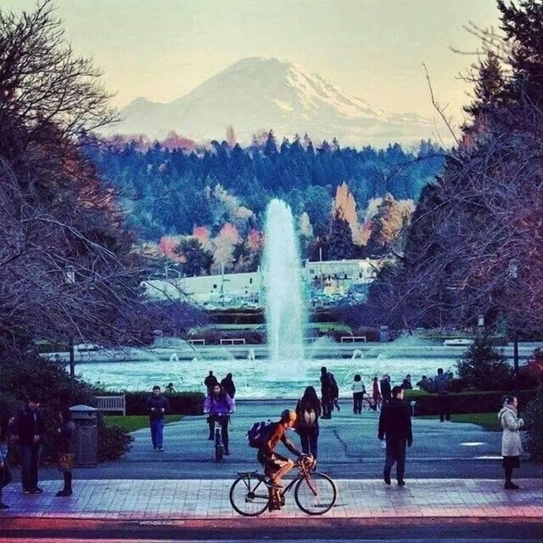 Eastlake Escape - Cascade