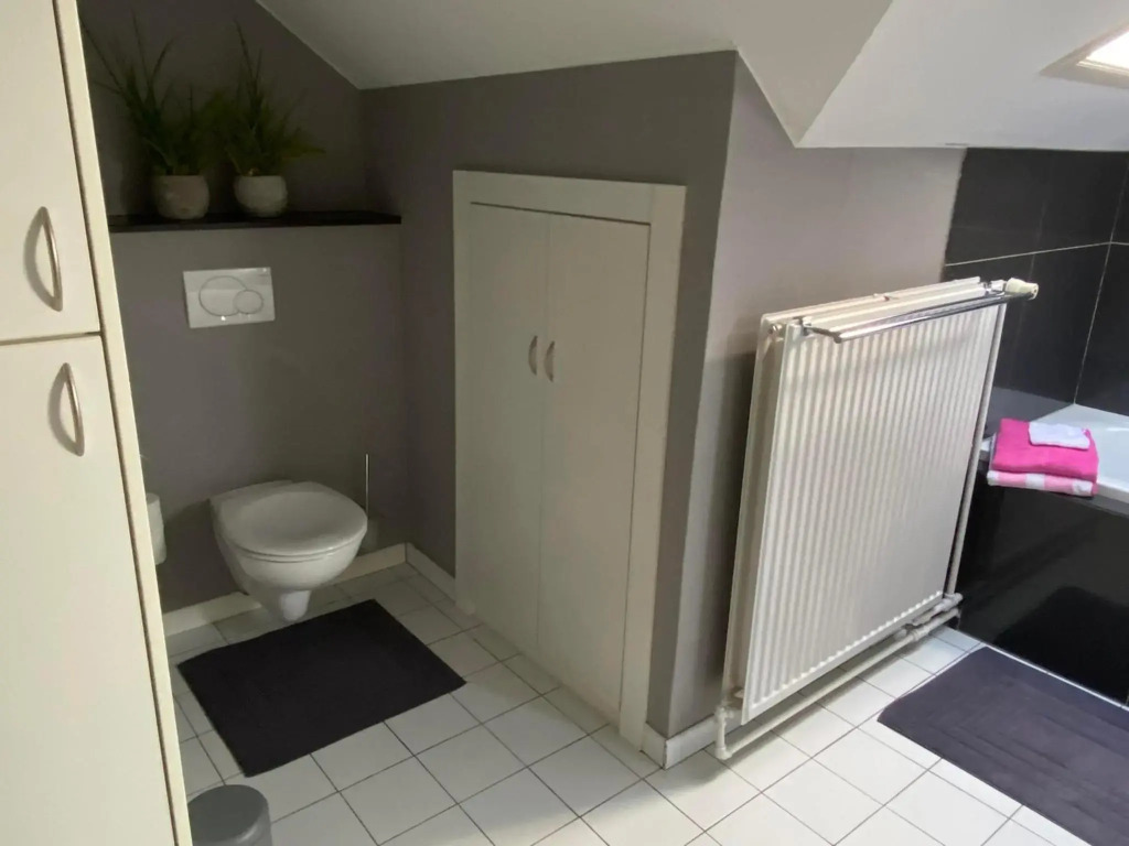 Vakantiewoning Het Wielje Maasland