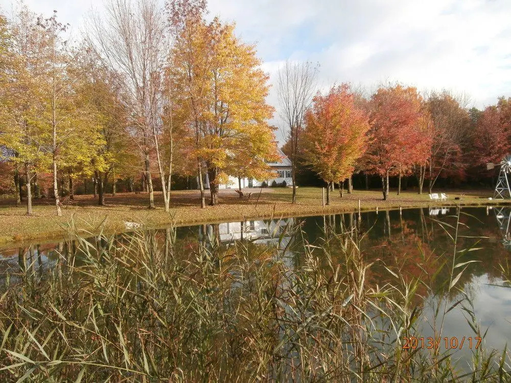Bear Creek Farm Bed and Breakfast
