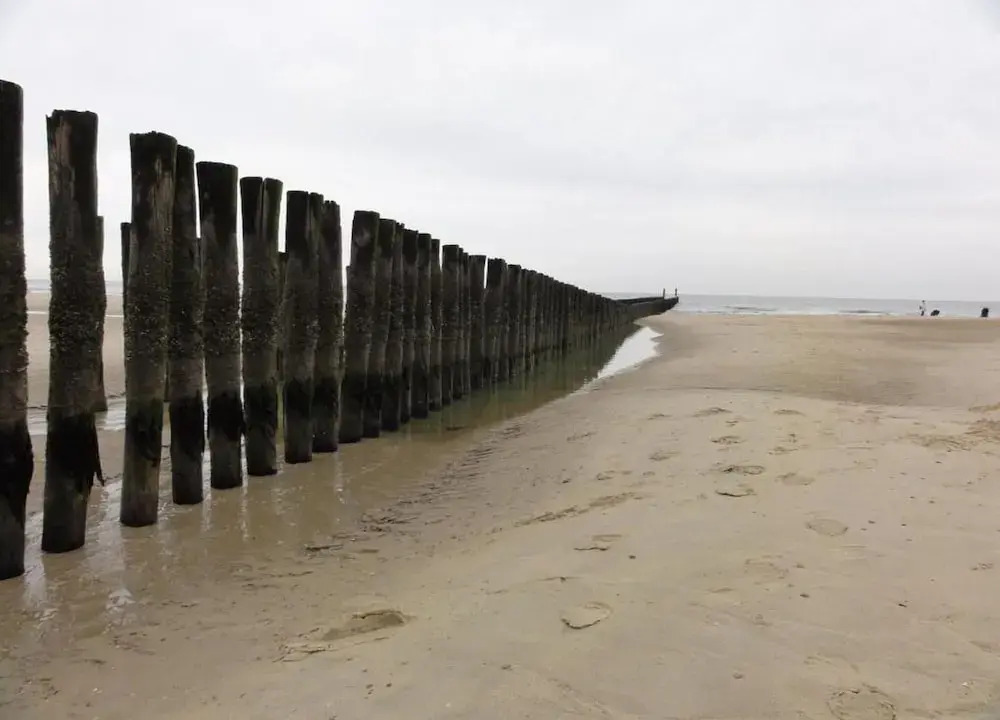 Studio in Domburg near Beach and Nature Reserve